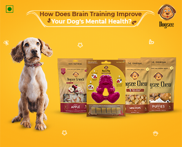Brain Training Improve for Dog's Mental Health