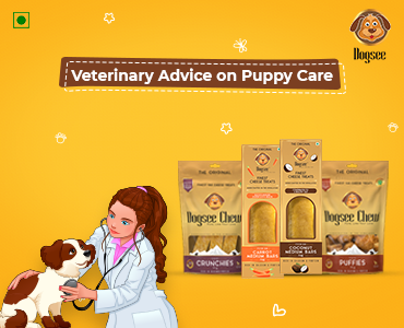 Veterinary Puppy Care
