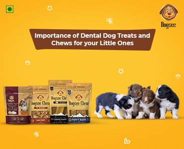 Importance of Dental Dog Treats