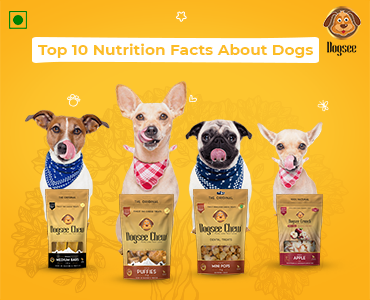 Top 10 Nutrition Facts About Dogs