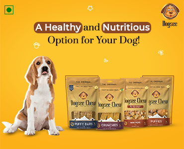 Himalayan Dog Treats: A Healthy and Nutritious Option for Your Dog!