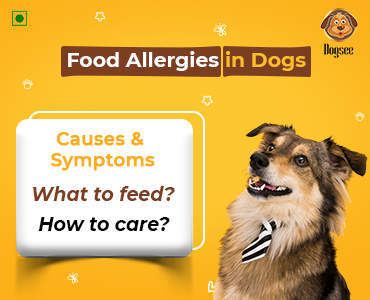Food-Allergies-in-Dogs