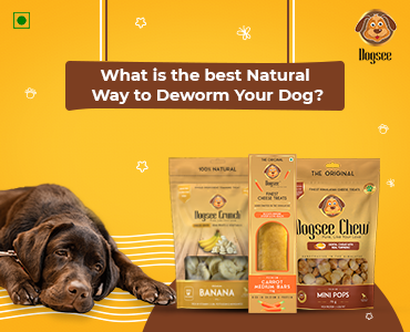 when should you deworm your dog