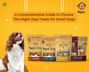 Guide to Choose The Right Dog Treats for Small Dogs