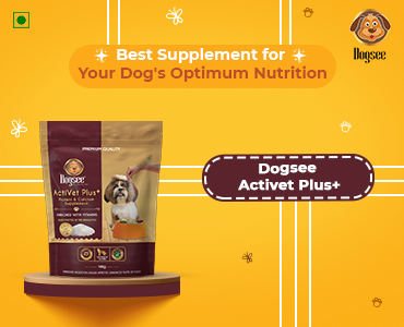 Best Supplement for Your Dog’s Optimum Nutrition