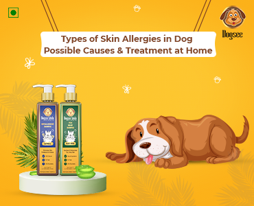 Skin Allergies in Dog