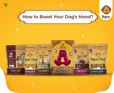 Boost Your Dog's Mood