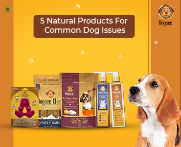 5 Natural Products For Common Dog Issues