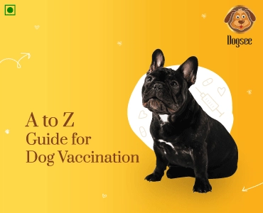 A To Z Guide For Dog Vaccination | Dogsee