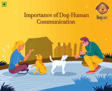 Importance of Dog-Human Communication
