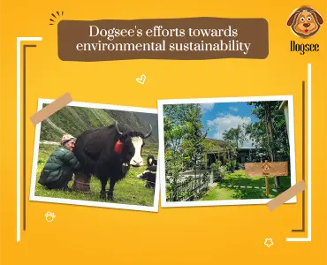 Dogsee's Efforts Towards Environmental Sustainability