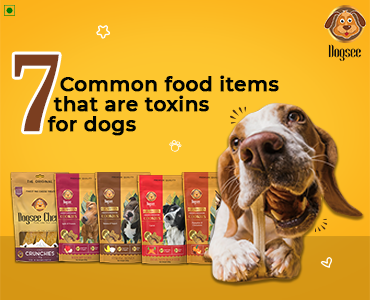 7 Common Food Items that are Toxins for Dogs