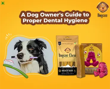 A Dog Owner's Guide to Proper Dental Hygiene