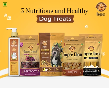 Nutritious and Healthy Dog Treats