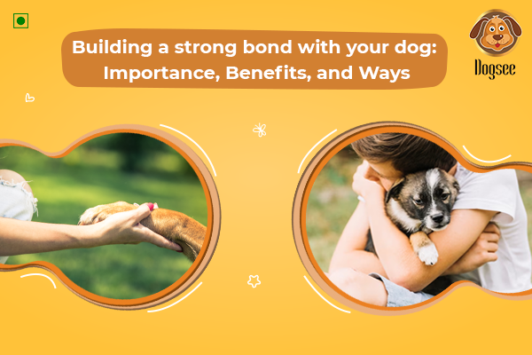 Building a Strong Bond with your Dog