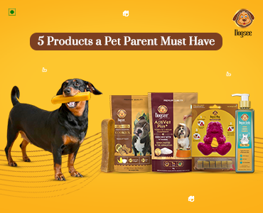 5 Products a Pet Parent Must Have