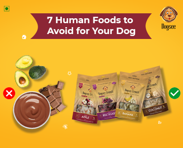7 Human Foods to Avoid for Your Dog
