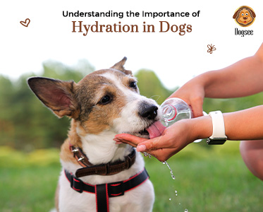 Importance of Hydration in Dogs