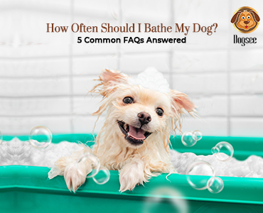 How Often Should I Bathe My Dog