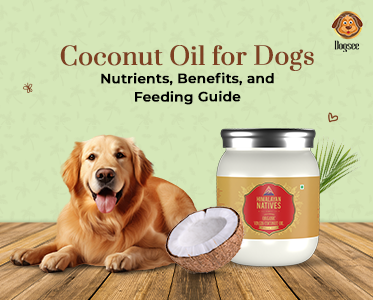 Coconut Oil for Dogs: Nutrients, Benefits, and Feeding Guide