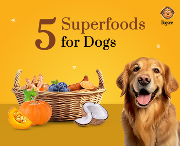 Superfoods for Dogs
