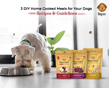3 DIY Home Cooked Meals for Your Dogs: Recipes & Guidelines | Dogsee