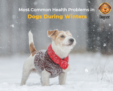 Health Problems in Dogs During Winters