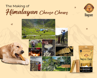 Making of Himalayan Cheese Chews