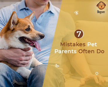 Mistakes Pet Parents Often Do