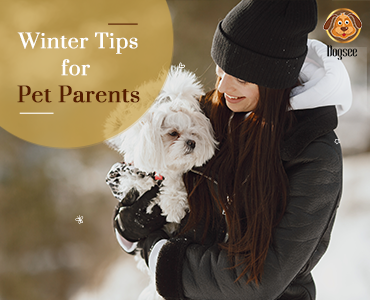 Winter Tips for Pet Parents